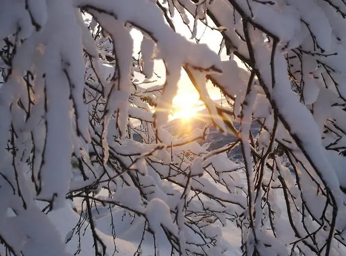 Apartamento 1st Floor In The Lyngen Alps, Whole House Rentable Lyngseidet
